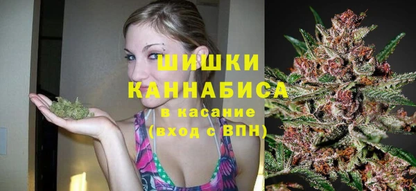 крисы Аркадак