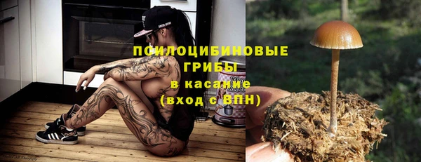 крисы Аркадак