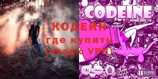 apvp Арсеньев